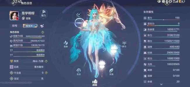 妄想山海【999级】雷神第一梯队双神兽绝版莲花台子