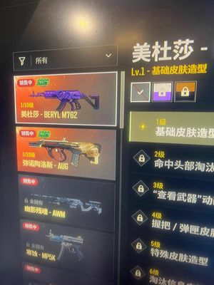 绝地求生（PUBG）生存等级30 名誉等级2 成长武器2 究极 载具 枪皮多利安人物2成长步枪
