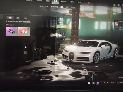 绝地求生（PUBG）改名卡翰娜布加迪成长异色