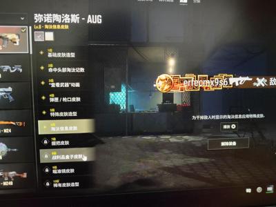 绝地求生（PUBG）6级牛头，通行证已开，可刀