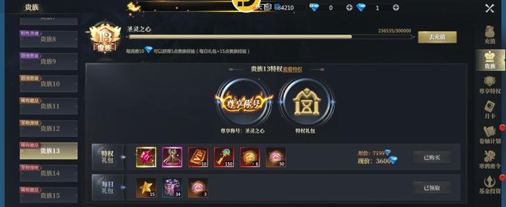 神火大陆【999级】跨服榜一绝对无敌