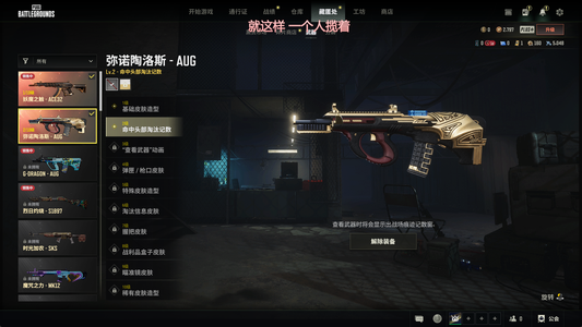 绝地求生（PUBG）300级烟雾弹双成长武器