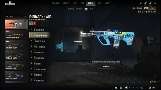 绝地求生（PUBG）300级新款成长aug皮肤套多