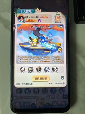 灵画师【万夫莫敌6服级】灵画师区榜一