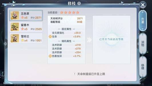 天谕幻翼30w光刃号