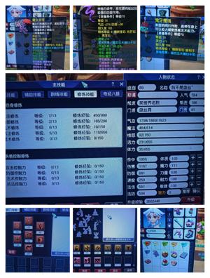 梦幻西游（端游）【89级盘丝.固伤】成品盘丝满技能，3孔，带横扫套