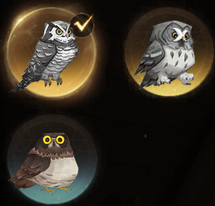 哈利波特：魔法觉醒【70级】哈利波特随缘出