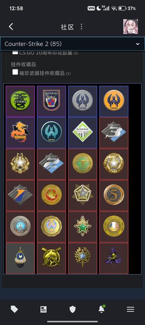 CSGO24勋章无违规带1600库存