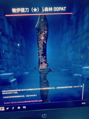 CSGO长刀    钱包65