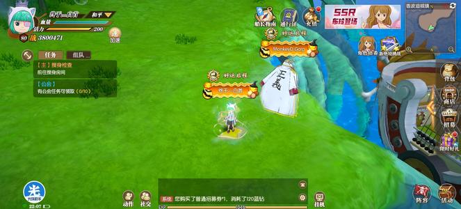 航海王：燃烧意志【80级】七武海拉满给价就出