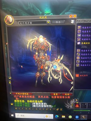 魔兽世界九年贼号所有橙装稀有坐骑都有