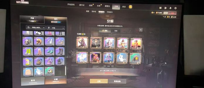 绝地求生（PUBG）AUG带千票带精品工坊