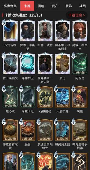 哈利波特：魔法觉醒【82级】超多皮肤男号