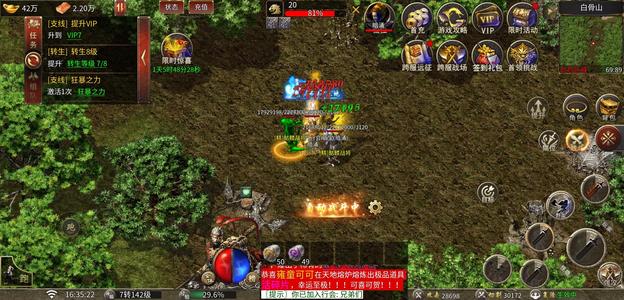 白蛇传奇【611级】白蛇传奇地仙传奇传奇霸主传奇
