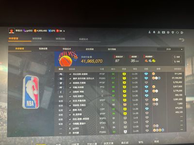 NBA2K OL2（端游）【阵容价值4200万 球员 满突9 合同费500万】6鸭梨4200万带五百合