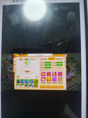 梦幻西游（手游）蓝凤时装坐骑花瓶空号