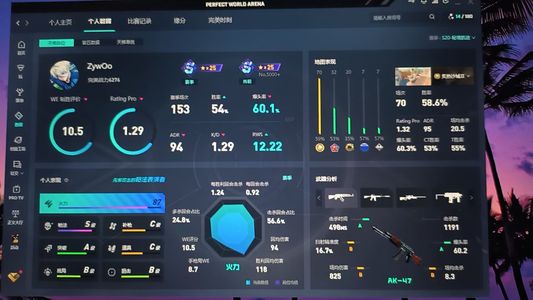 CSGO完美1.3rt多赛季钻s