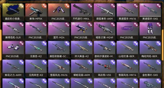 绝地求生（PUBG）生存等级1 名誉等级2 成长武器 究极 载具 枪皮mp5k,m24异色，有初邮