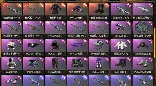 绝地求生（PUBG）生存等级1 名誉等级2 成长武器 究极 载具 枪皮精品小号，有初邮