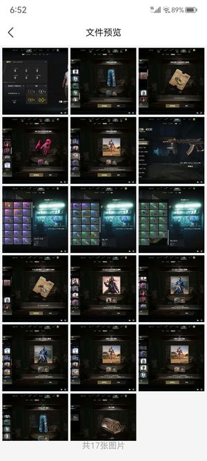绝地求生（PUBG）R7  两级ACE 加喷子
