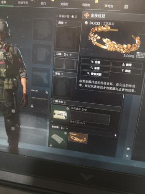 三角洲行动（Steam）【总资产0M 】12级400w哈夫币桂冠挂饰