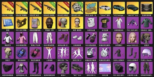 绝地求生（PUBG）满级金龙悟空南瓜三跑车小丑女