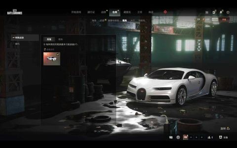 绝地求生（PUBG）布加迪、女老黑、发光手臂