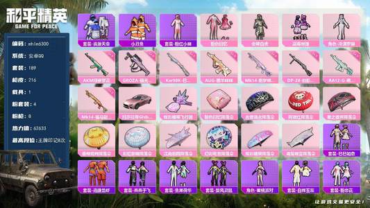 和平精英【mhlm6300】安卓 手