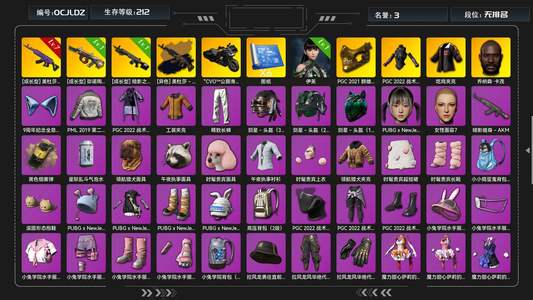 绝地求生（PUBG）生存等级212 名誉等级3 皮