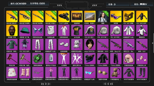 绝地求生（PUBG）生存等级1320 名誉等级3 