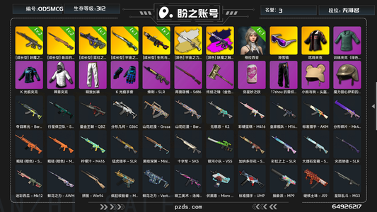 绝地求生（PUBG）生存等级312 名誉等级3 皮