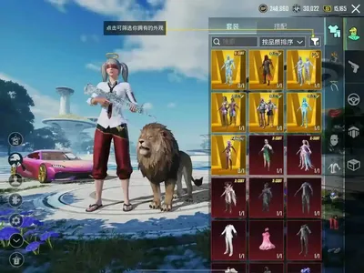 PUBG M（外服）不玩儿了图二咨询4