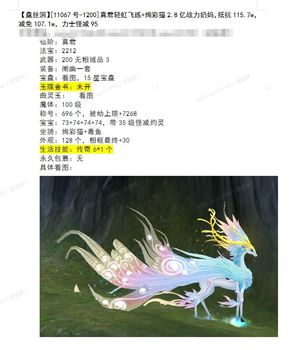 新寻仙（端游）【250级】2.9亿副本奶妈，稀有轻虹飞练