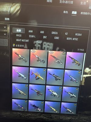 绝地求生（PUBG）ACE成长两把MK12成长黑鬼