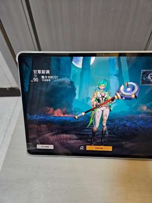火炬之光：无限药香师爽刷刻8火