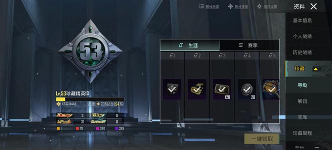 PUBG M（外服）4级龙吟 卖出前会确认买家年龄
