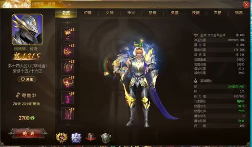 魔域（端游）极品龙骑，带仙兽，百星宝宝