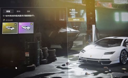 绝地求生（PUBG）生存等级257 名誉等级3 成长武器 究极 载具 枪皮兰博基尼双车＋女团