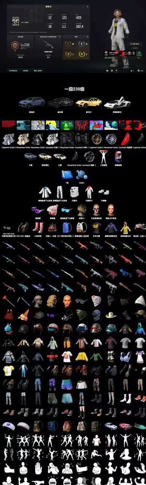 绝地求生（PUBG）生存等级257 名誉等级3 成长武器 究极 载具 枪皮兰博基尼三车