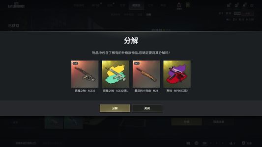 绝地求生（PUBG）双成长双异色 极品工坊 改名卡