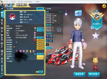 QQ飞车电信一区SA争锋者