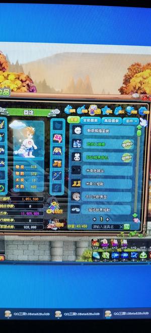 QQ三国90游侠时装号有会员