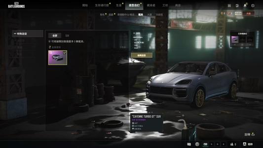 绝地求生（PUBG）生存等级2 名誉等级2 成长武器 究极 载具 枪皮卡宴，美杜莎,彩烟，2张改名卡
