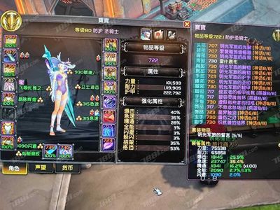 魔兽世界毕业血精灵女骑士