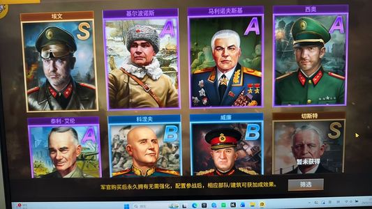 二战风云2【1000级】6虎式皮8兔