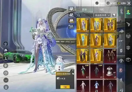 PUBG M（外服）不玩儿了图二咨询4