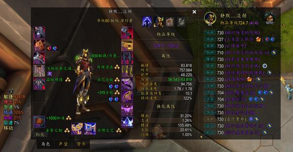 魔兽世界版本千钧一发满级毕业盗贼 熊T