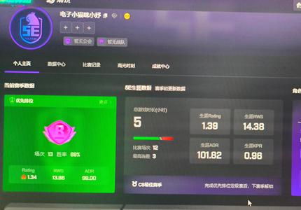 CSGO5EB段位号带改名卡