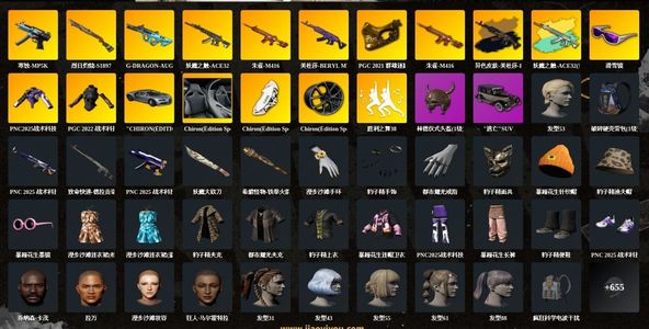 绝地求生（PUBG）生存等级1700 名誉等级2 成长武器7 究极 载具 枪皮布加迪豪华美杜莎分解42张