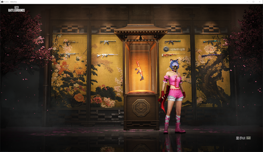 绝地求生（PUBG）武器神龛大厅＋改名卡＋金面